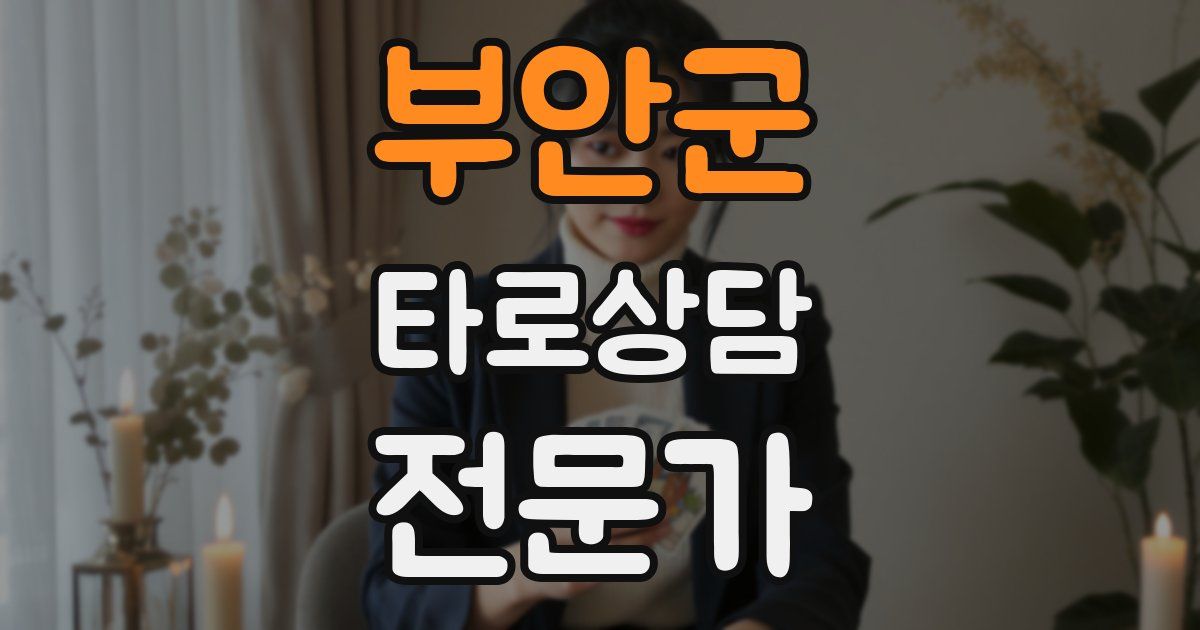 부안군 타로상담전문가 자격증