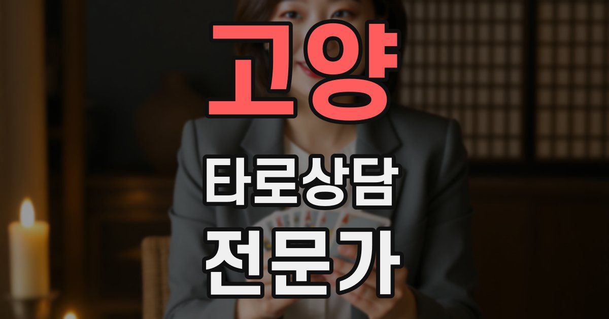 고양 타로상담전문가 자격증