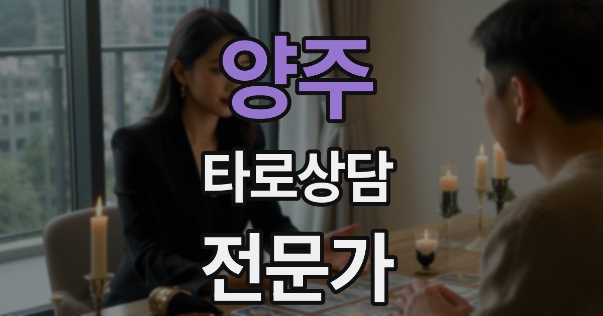 양주 타로상담전문가 자격증