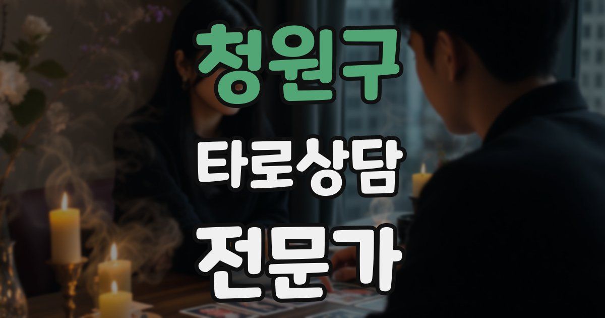 청원구 타로상담전문가 자격증