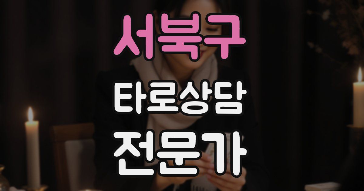 서북구 타로상담전문가 자격증