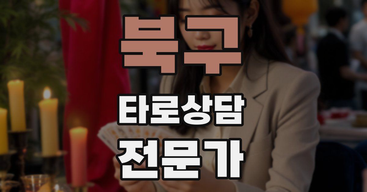 북구 타로상담전문가 자격증