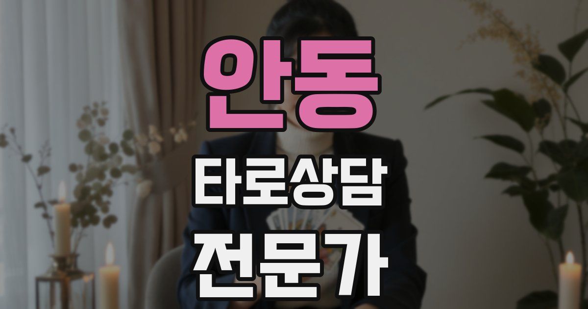 안동 타로상담전문가 자격증