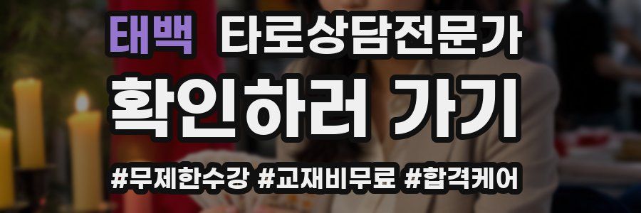 태백 타로상담전문가 자격증