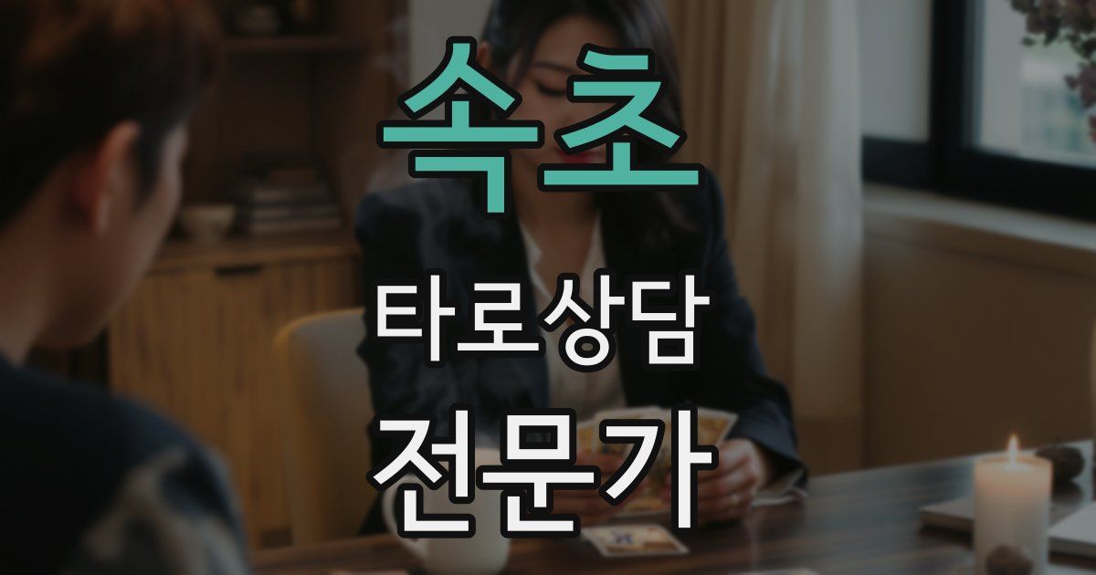 속초 타로상담전문가 자격증
