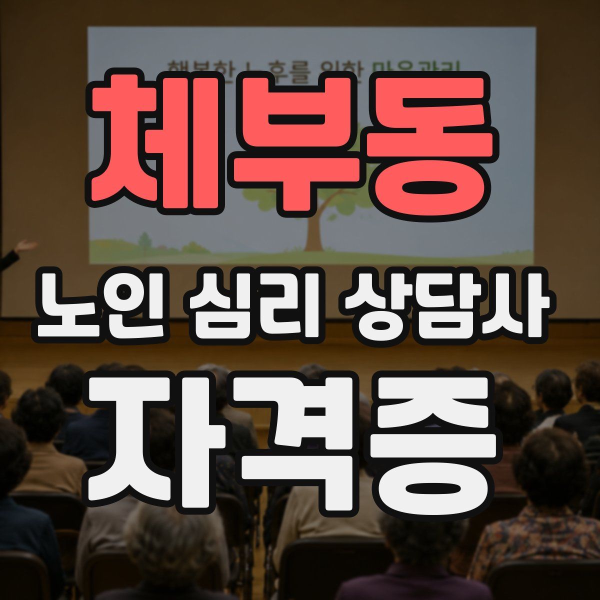 체부동 노인 심리 상담사 자격증