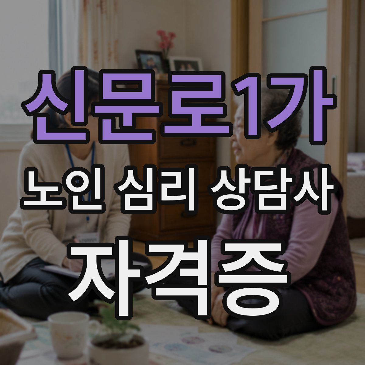 신문로1가 노인 심리 상담사 자격증