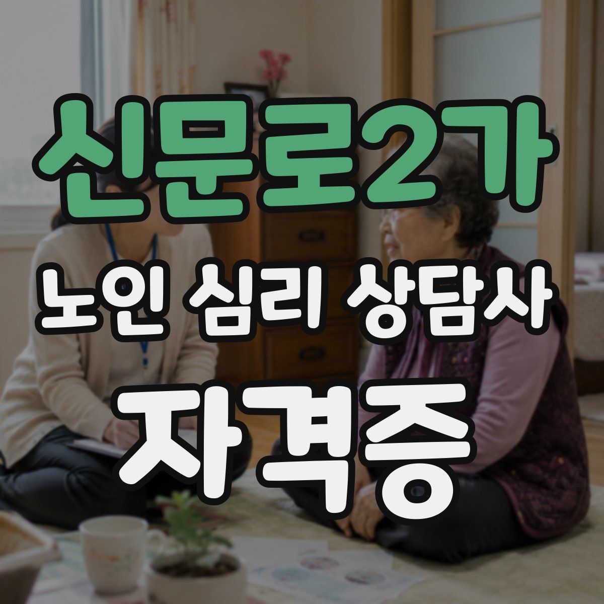 신문로2가 노인 심리 상담사 자격증