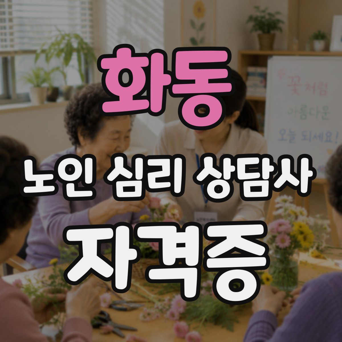 화동 노인 심리 상담사 자격증