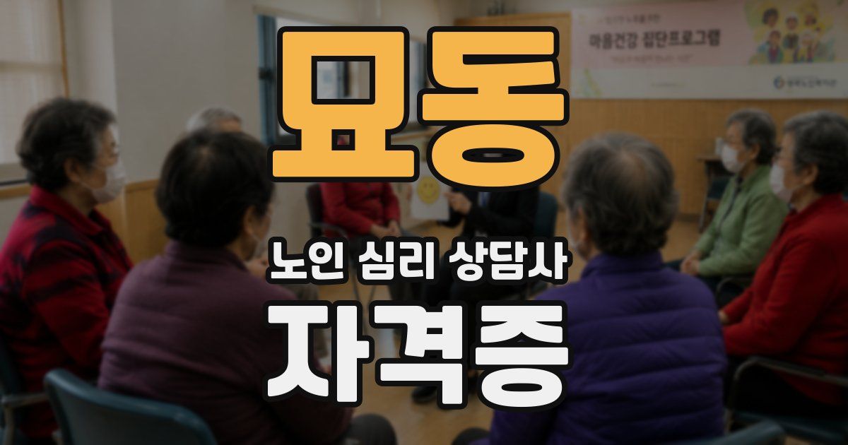 묘동 노인 심리 상담사 자격증