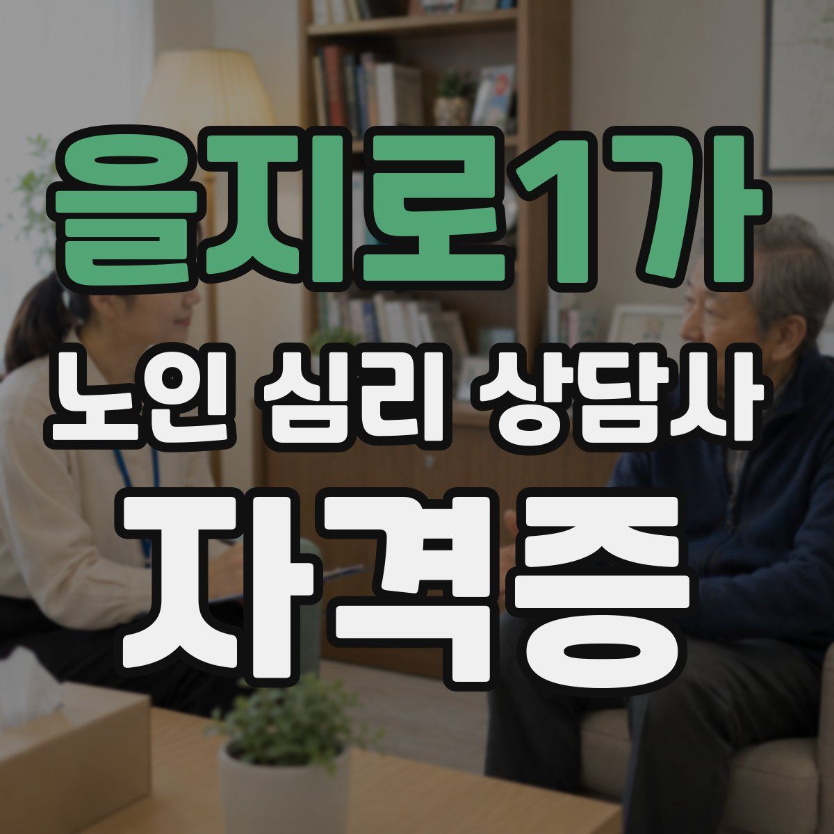 을지로1가 노인 심리 상담사 자격증