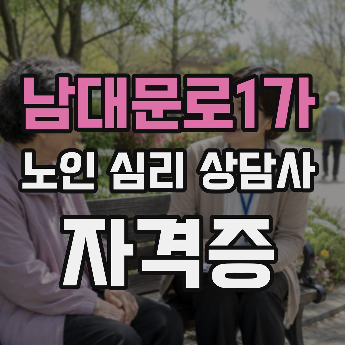 남대문로1가 노인 심리 상담사 자격증