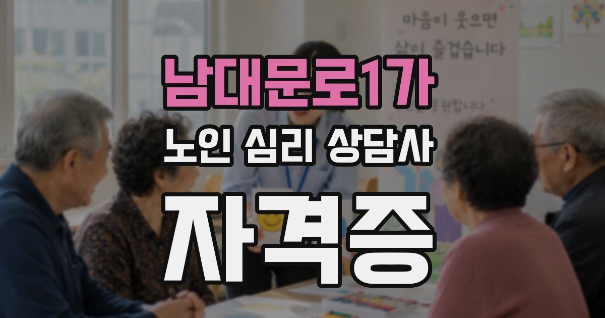 남대문로1가 노인 심리 상담사 자격증