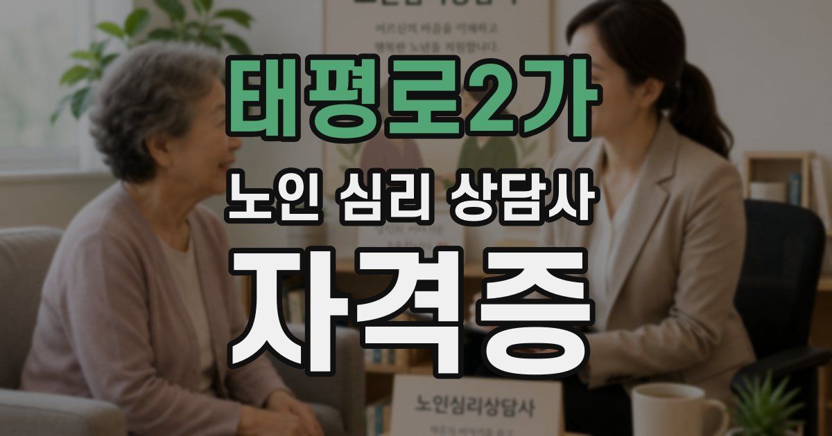 태평로2가 노인 심리 상담사 자격증