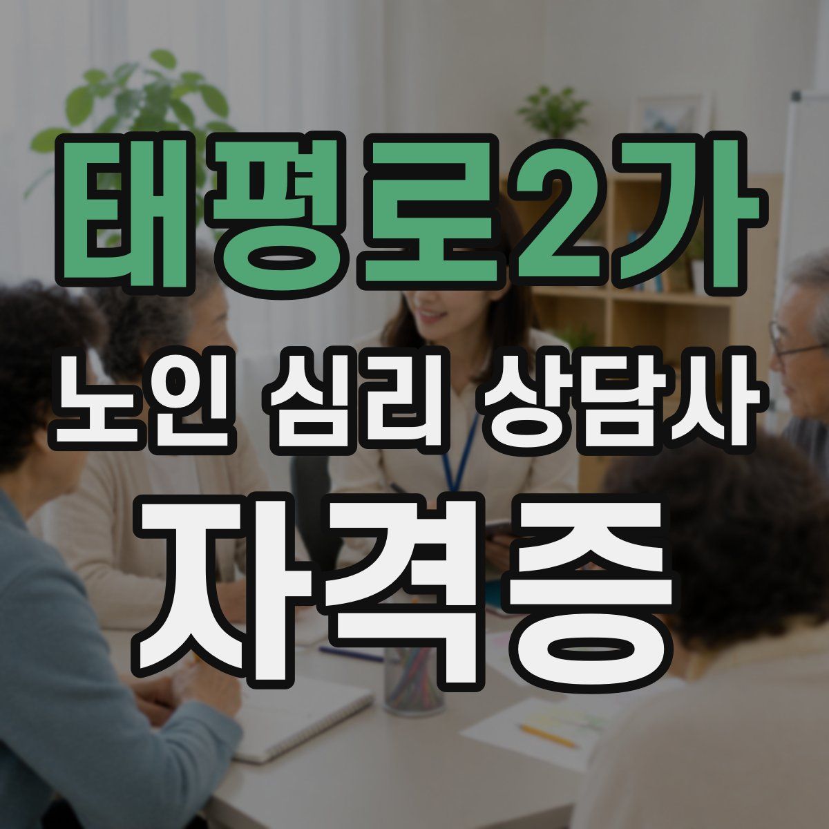 태평로2가 노인 심리 상담사 자격증