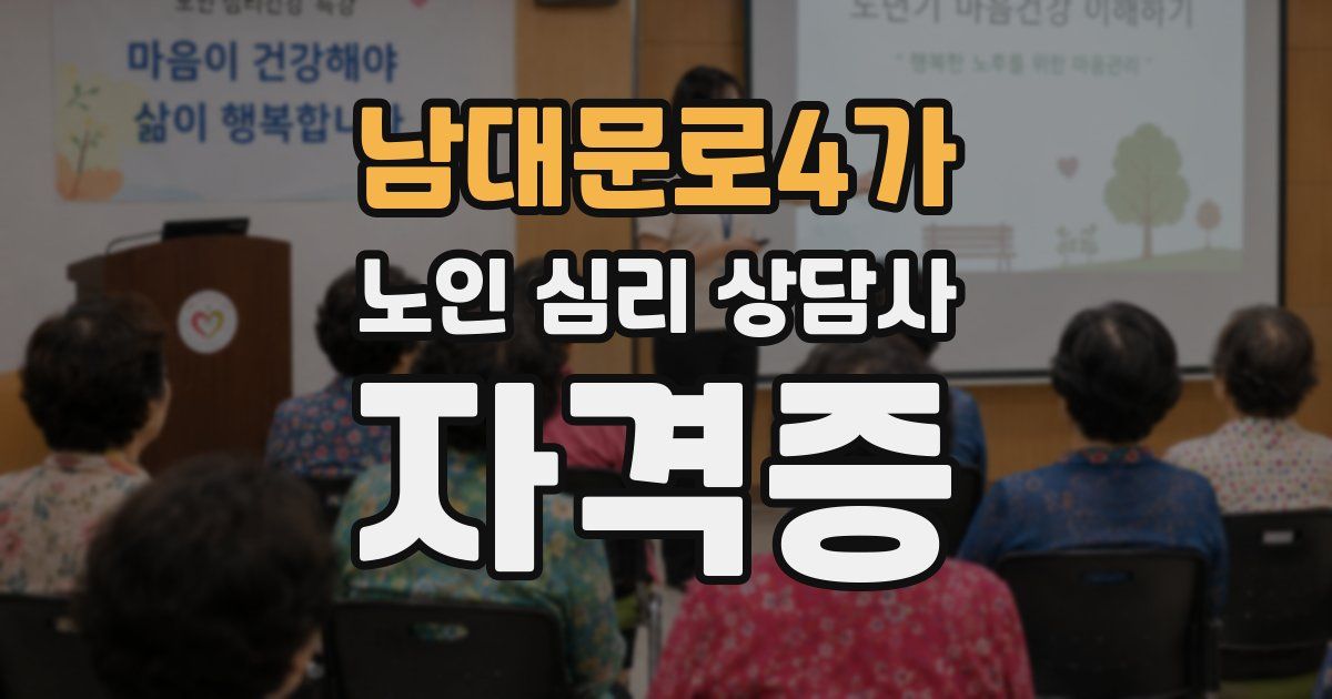 남대문로4가 노인 심리 상담사 자격증