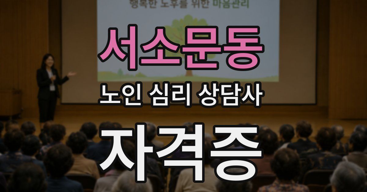 서소문동 노인 심리 상담사 자격증