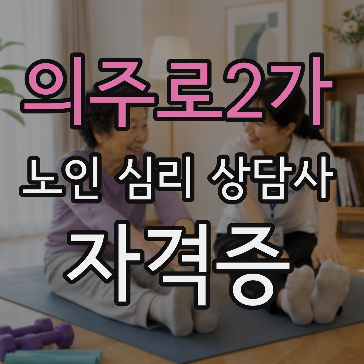 의주로2가 노인 심리 상담사 자격증