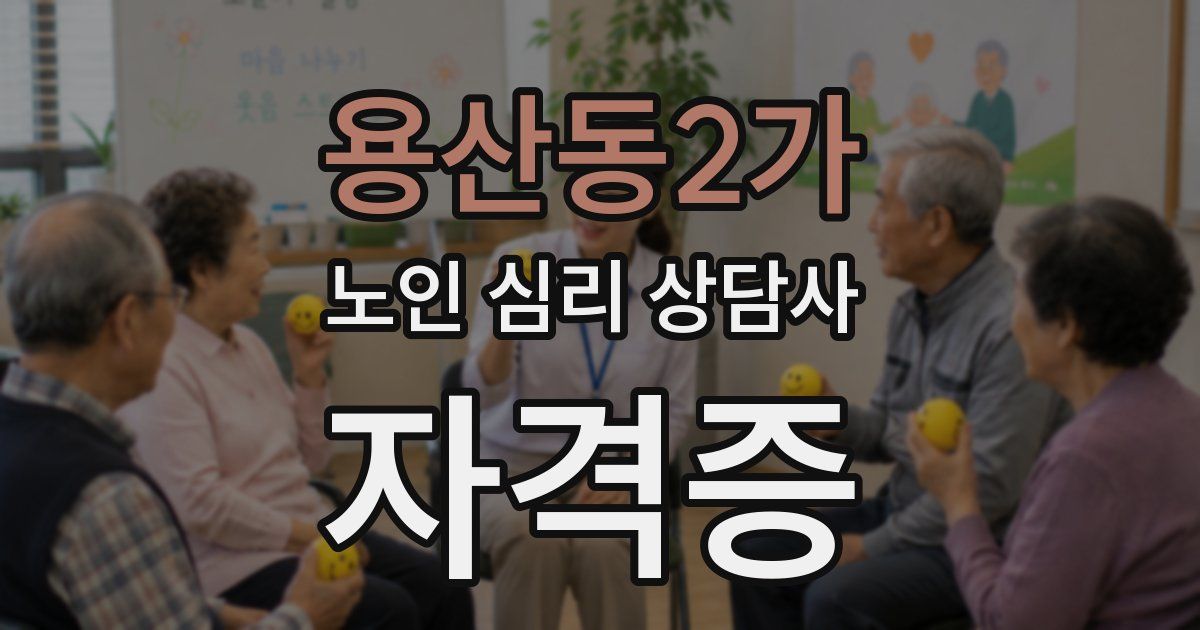 용산동2가 노인 심리 상담사 자격증