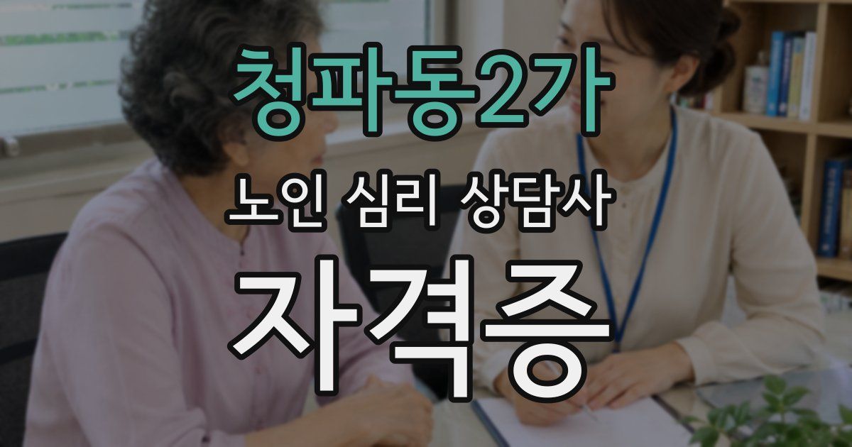 청파동2가 노인 심리 상담사 자격증