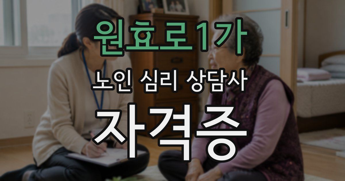 원효로1가 노인 심리 상담사 자격증