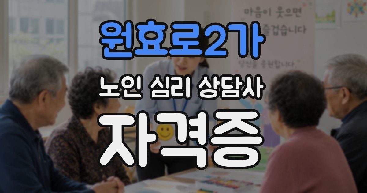 원효로2가 노인 심리 상담사 자격증