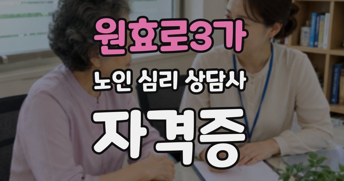 원효로3가 노인 심리 상담사 자격증