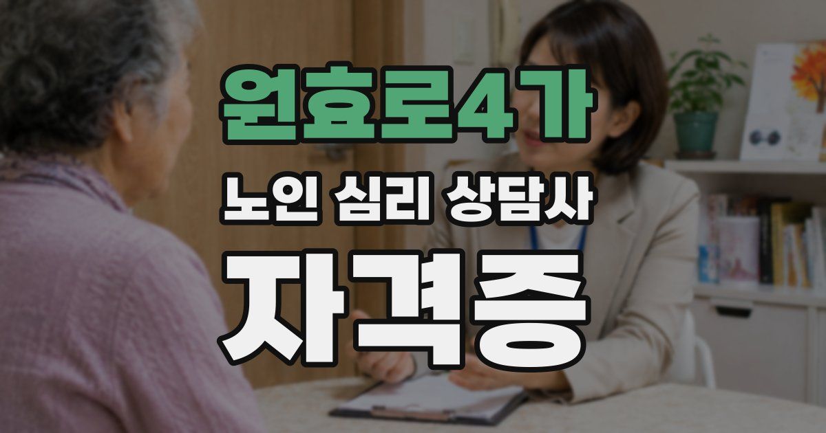 원효로4가 노인 심리 상담사 자격증