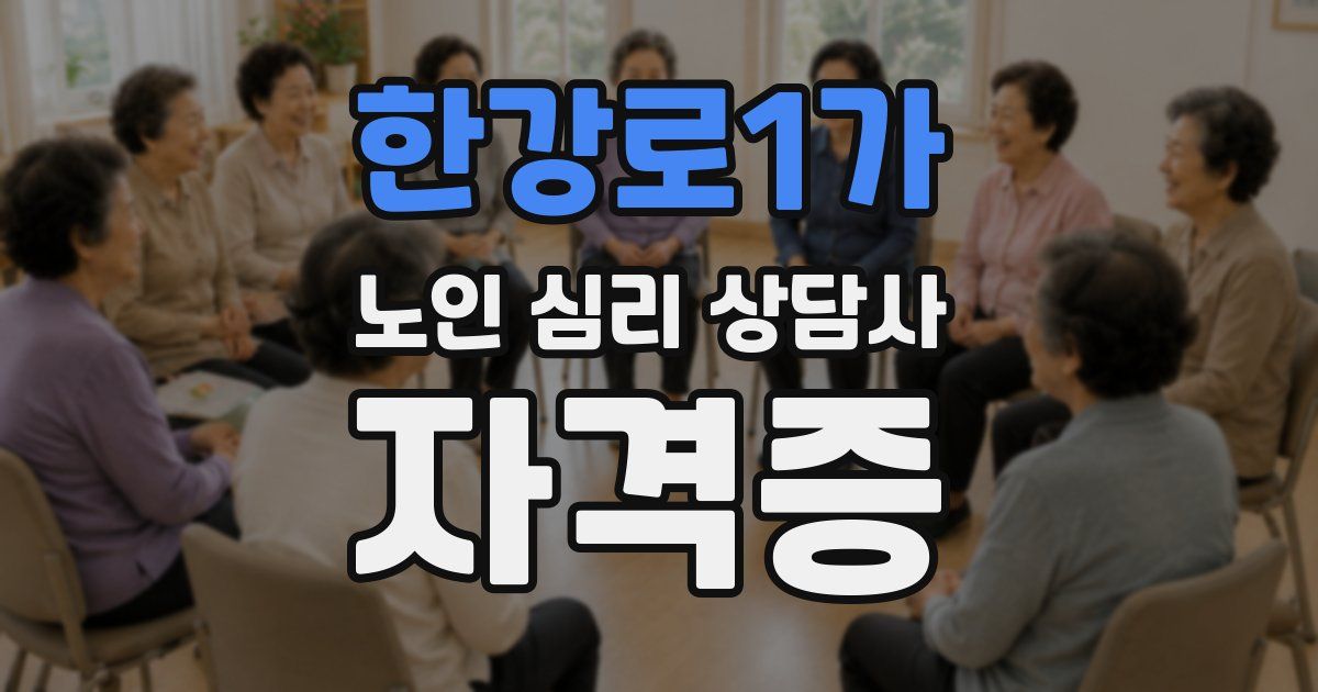 한강로1가 노인 심리 상담사 자격증