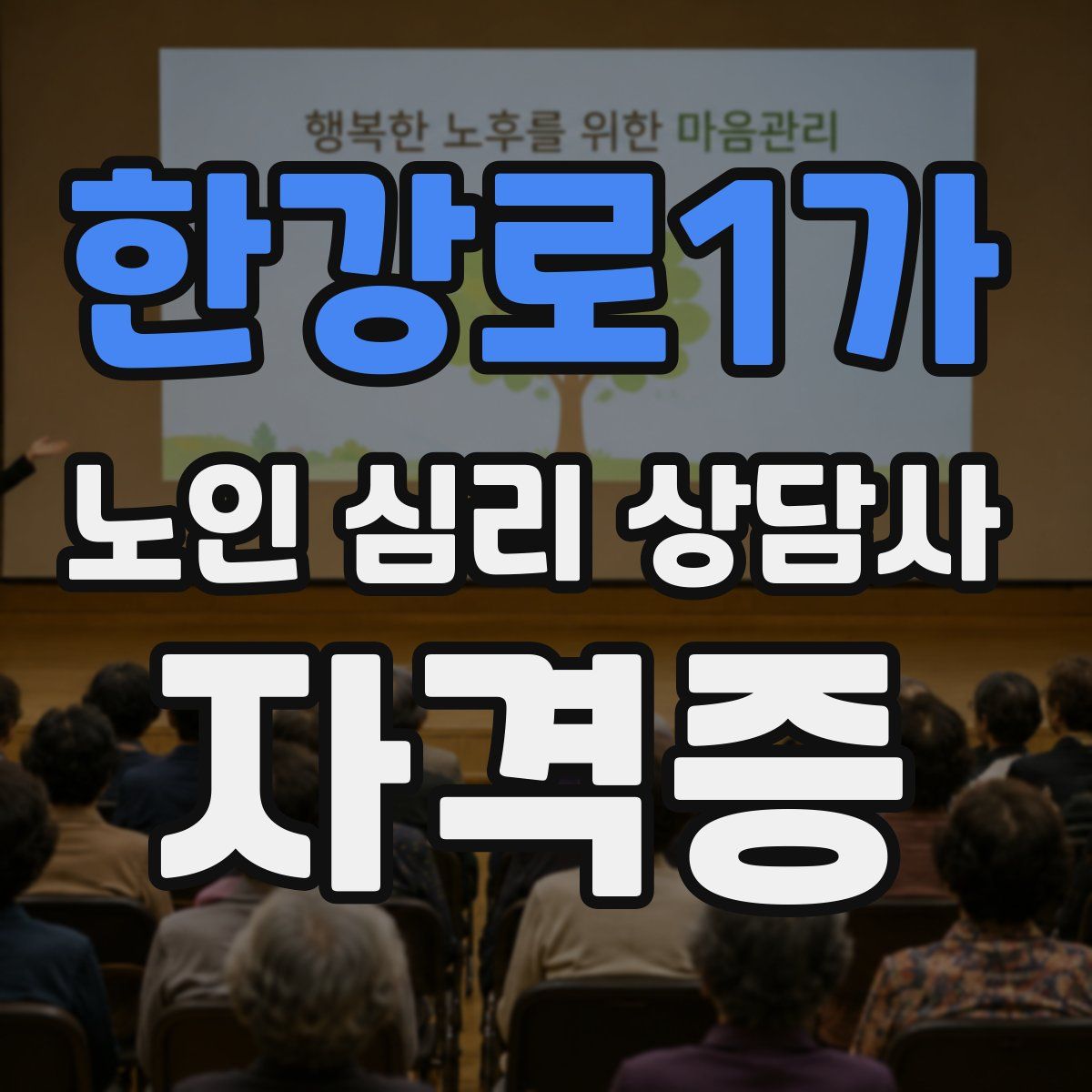 한강로1가 노인 심리 상담사 자격증
