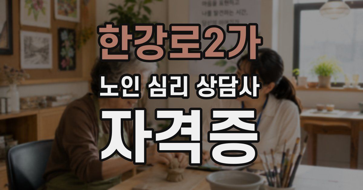 한강로2가 노인 심리 상담사 자격증