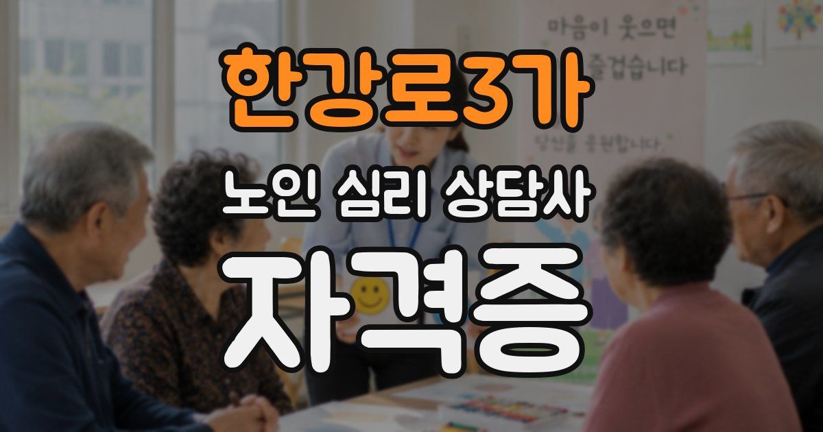 한강로3가 노인 심리 상담사 자격증