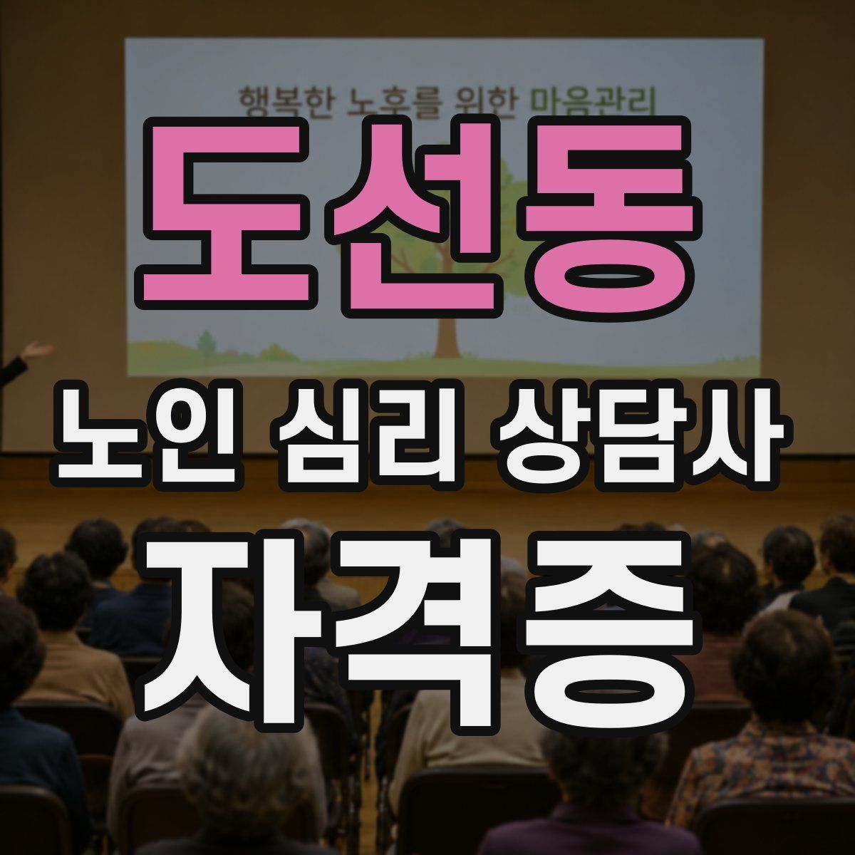 도선동 노인 심리 상담사 자격증