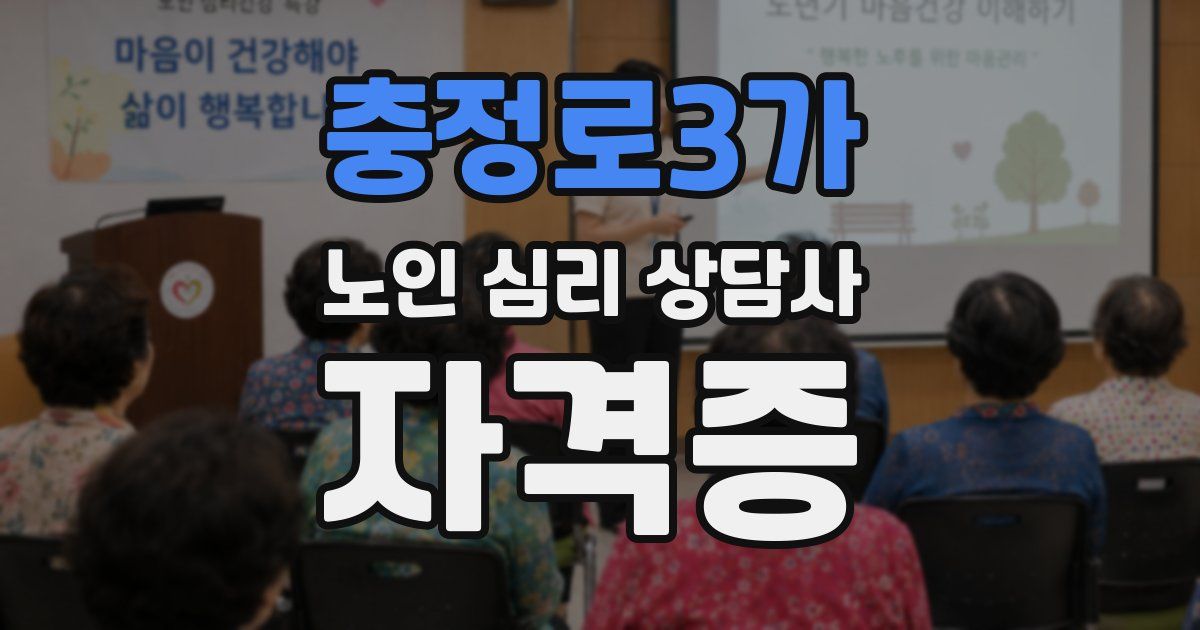 충정로3가 노인 심리 상담사 자격증