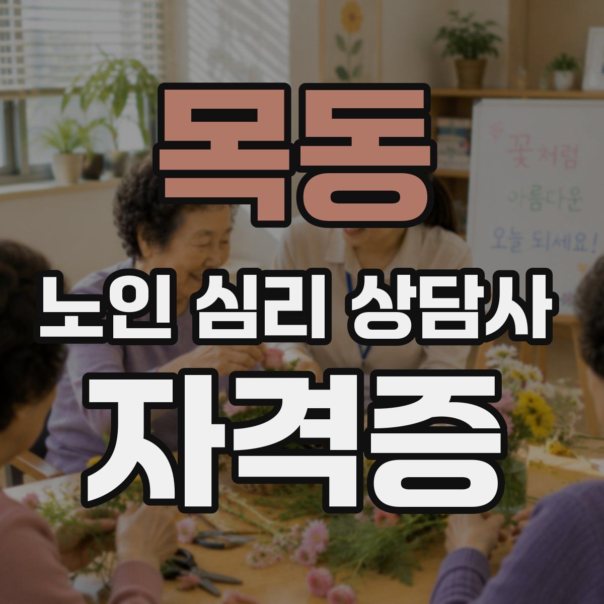 목동 노인 심리 상담사 자격증