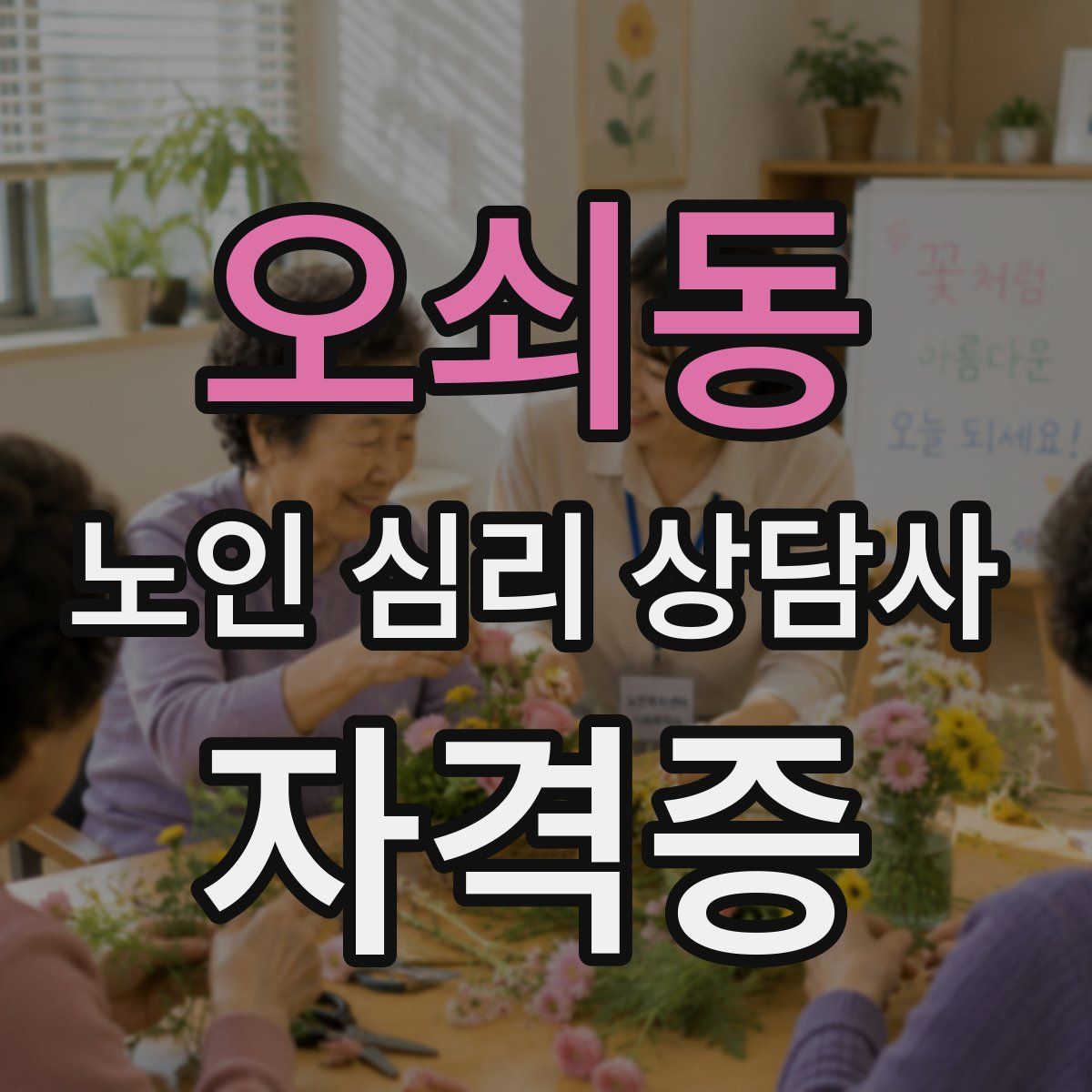 오쇠동 노인 심리 상담사 자격증