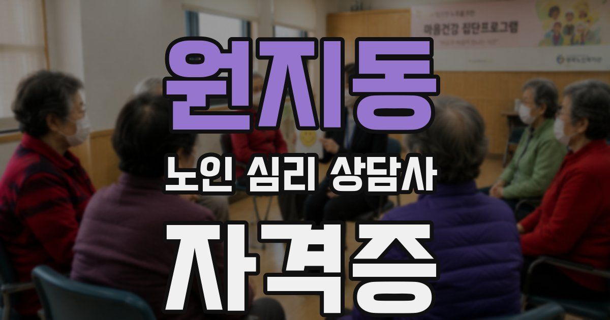 원지동 노인 심리 상담사 자격증