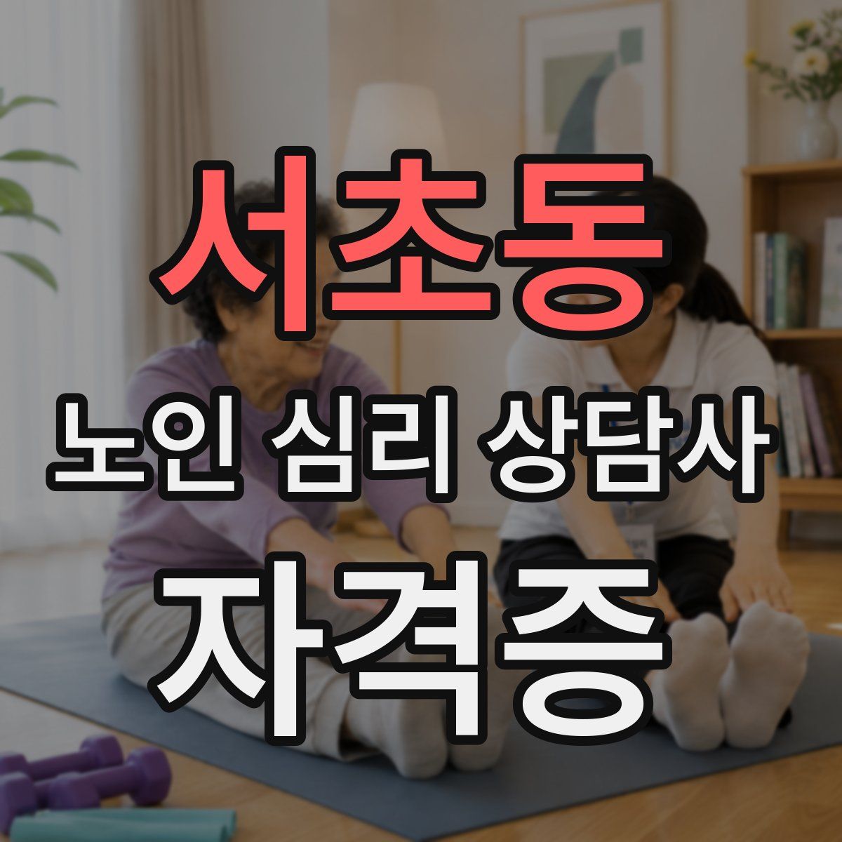 서초동 노인 심리 상담사 자격증