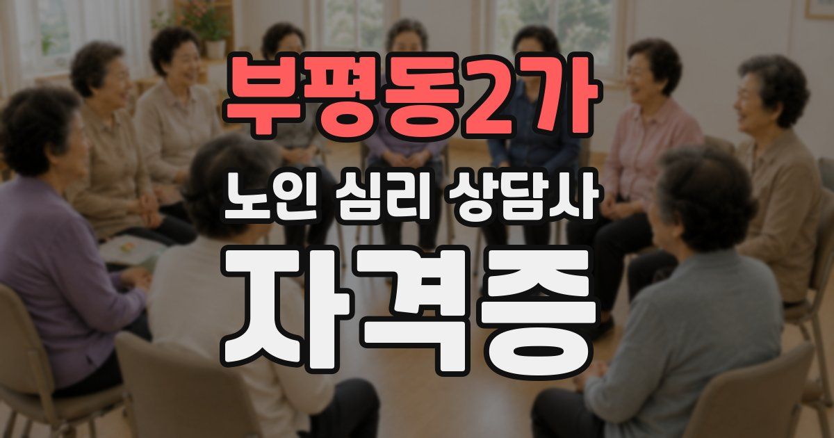 부평동2가 노인 심리 상담사 자격증