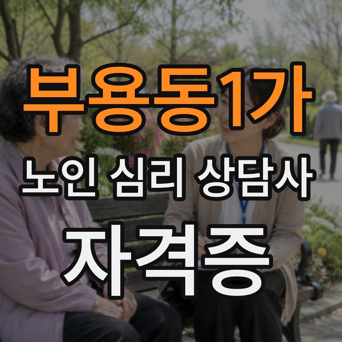 부용동1가 노인 심리 상담사 자격증