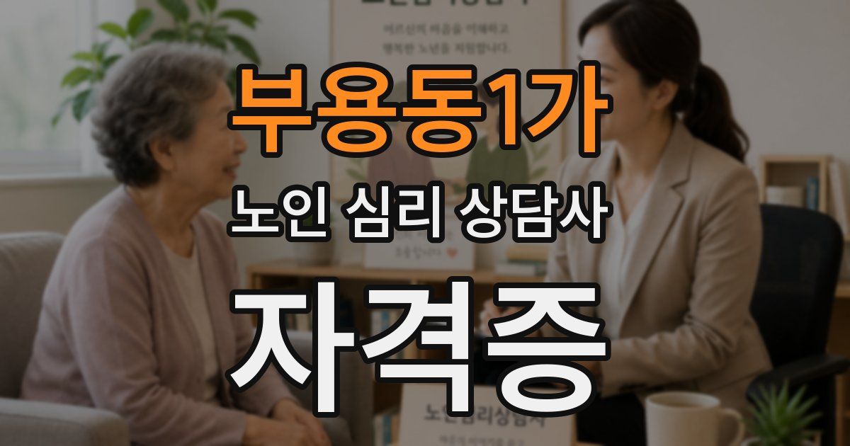 부용동1가 노인 심리 상담사 자격증