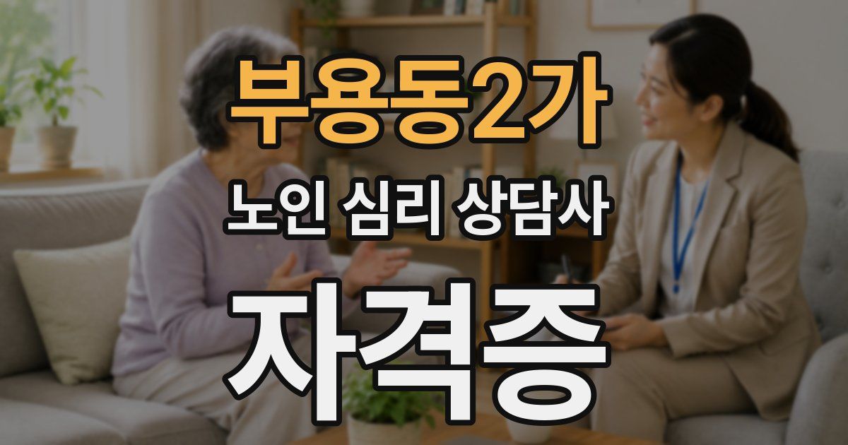 부용동2가 노인 심리 상담사 자격증