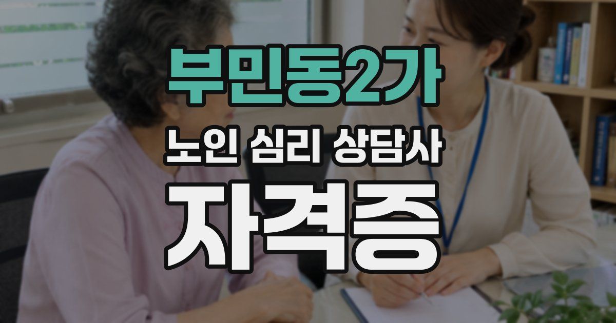 부민동2가 노인 심리 상담사 자격증