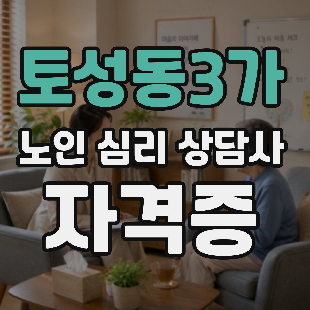 토성동3가 노인 심리 상담사 자격증