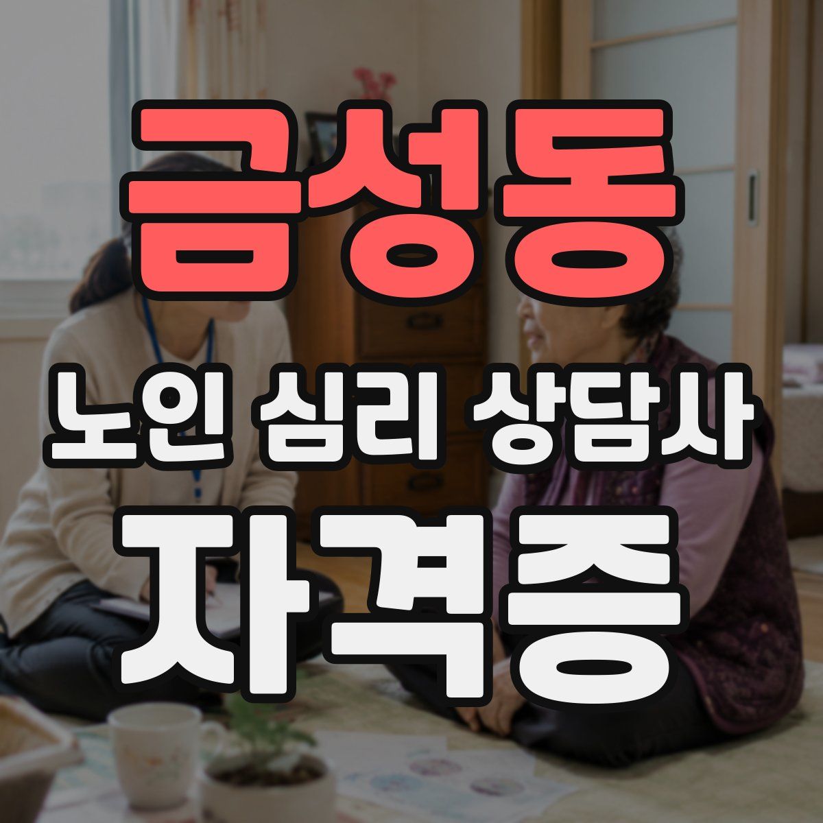 금성동 노인 심리 상담사 자격증