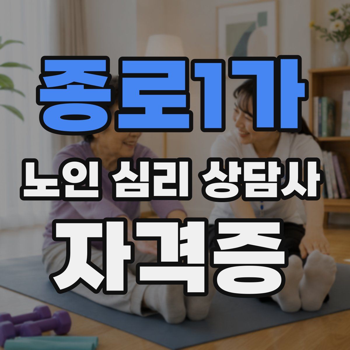 종로1가 노인 심리 상담사 자격증
