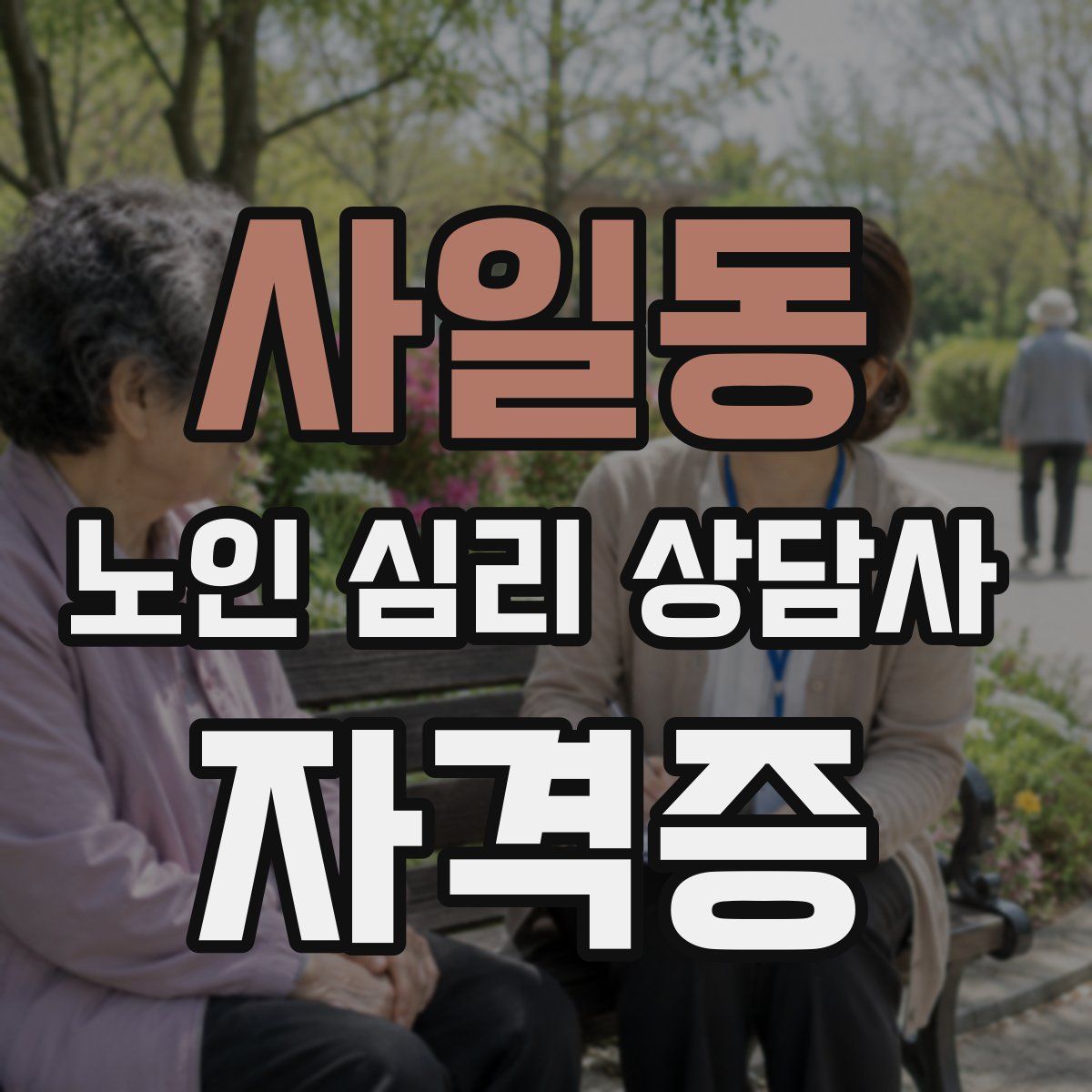 사일동 노인 심리 상담사 자격증