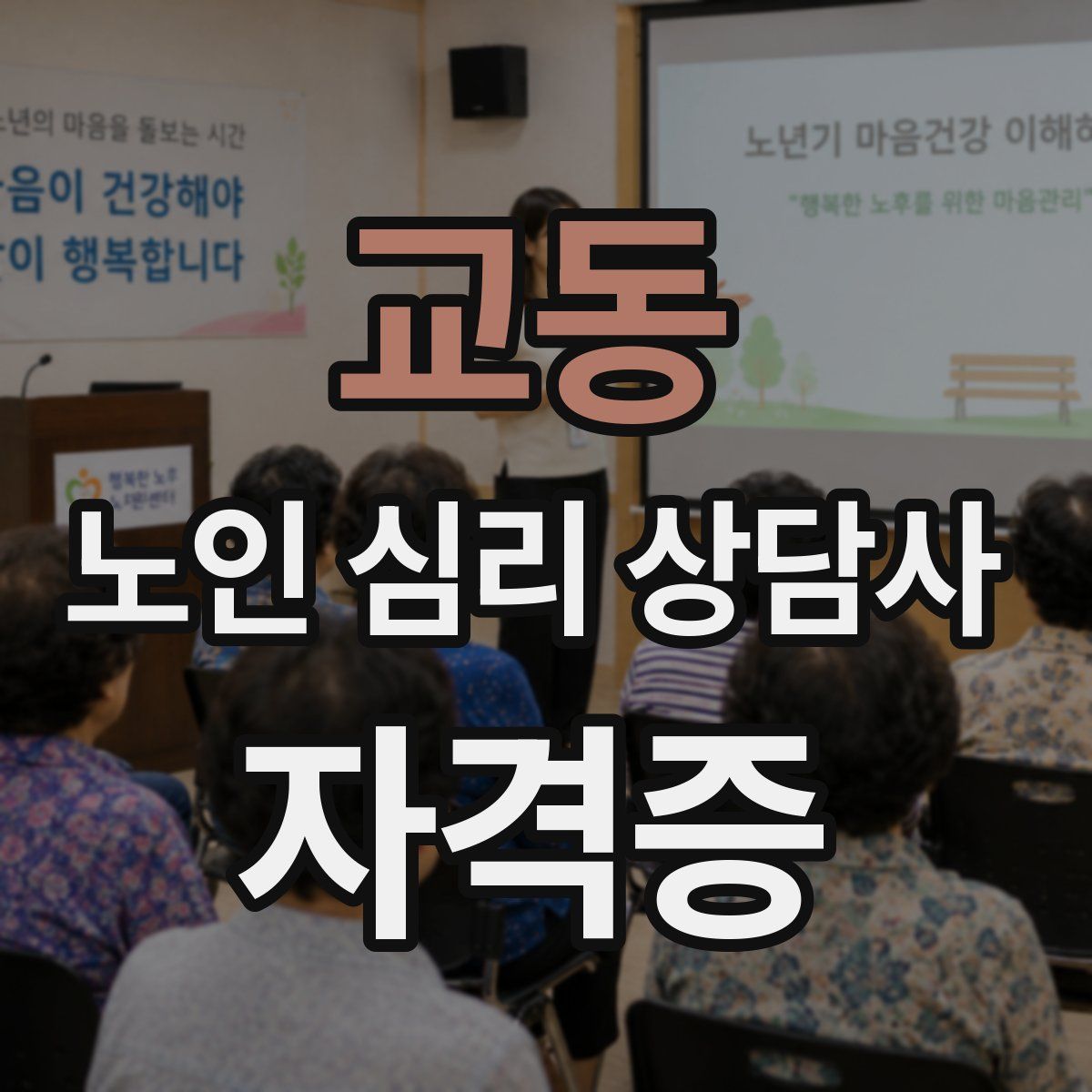 교동 노인 심리 상담사 자격증
