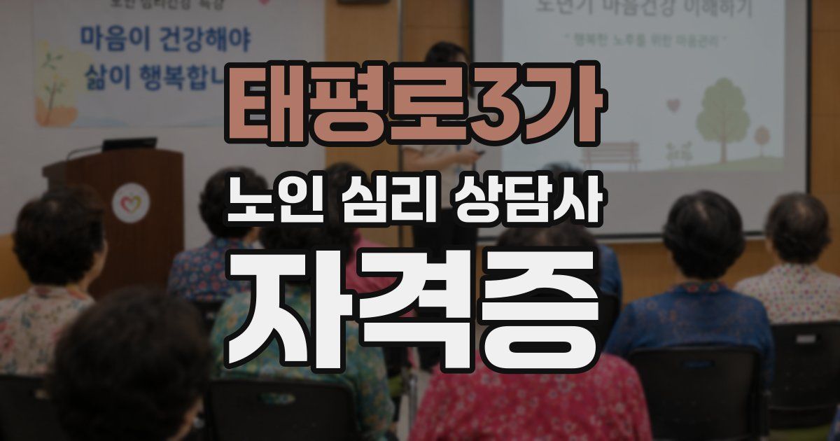 태평로3가 노인 심리 상담사 자격증