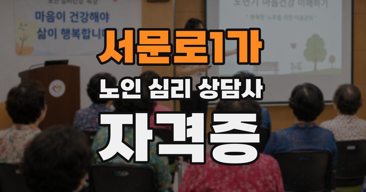 서문로1가 노인 심리 상담사 자격증
